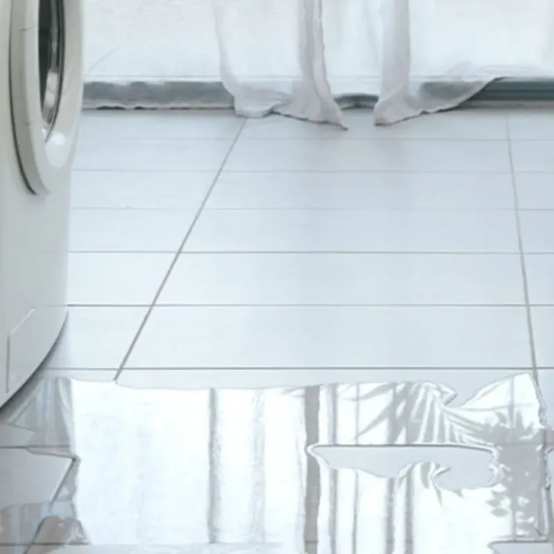 Appliance Leak Cleanup in De Soto, IL
