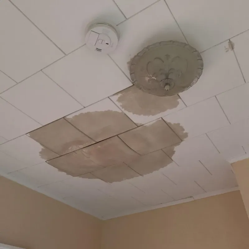 Ceiling Water Damage Repair in De Soto, IL