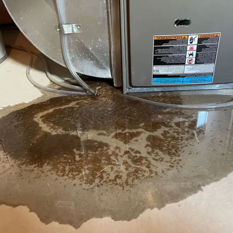 Pipe Burst and Leak Restoration in De Soto, IL