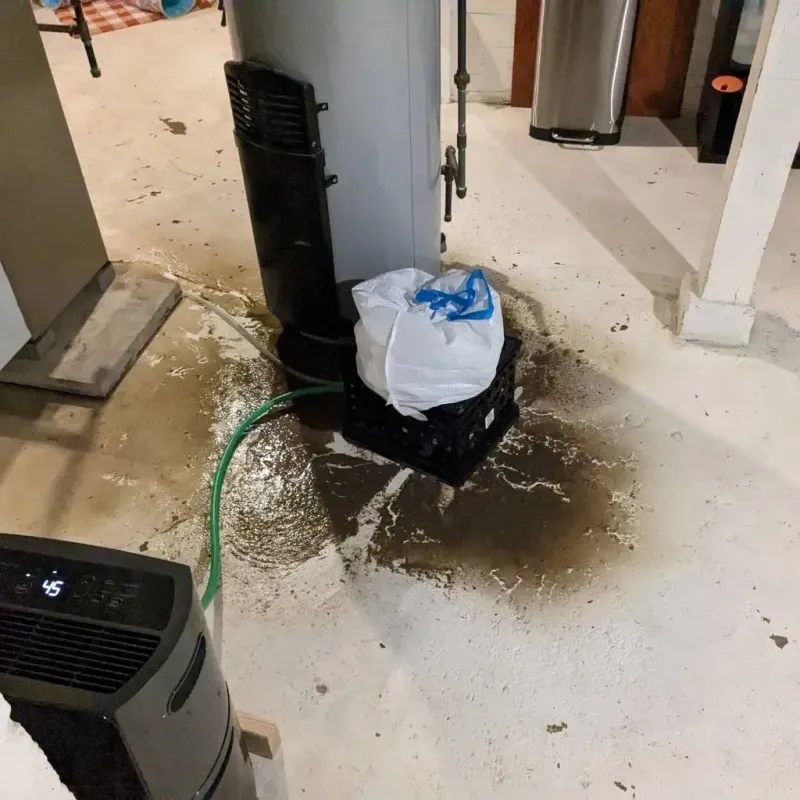 Sewage Backup Cleanup Service in De Soto, IL